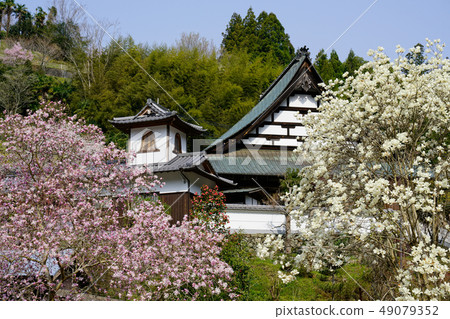 Temple's spring 49079352