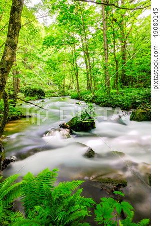 Oirase stream 49080145