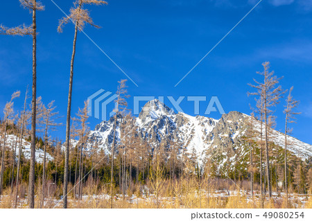 View of the landscape with snowy mountains. View of the landscape with snowy mountains. 49080254