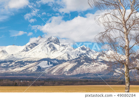 View of the landscape with snowy mountains. 49080284