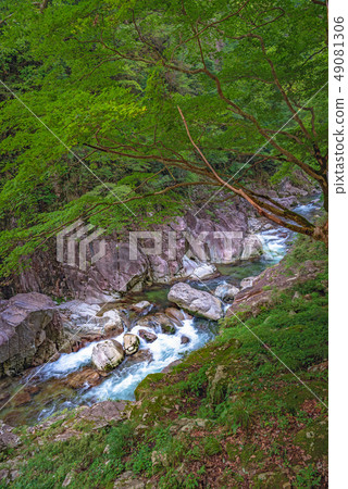 特別景觀Katsusandan Gorge Ishigamo 49081306