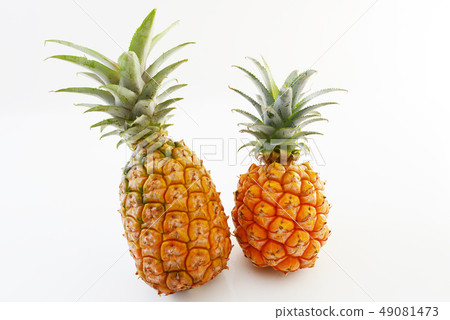 Fresh fruit Fresh fruit 49081473