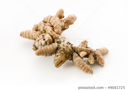 Spring turmeric 49081725