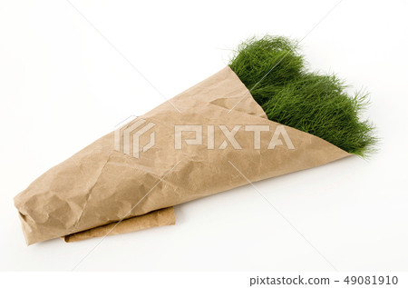 Fennel wrapped in craft paper (fennel) Fennel wrapped in craft paper (fennel) 49081910