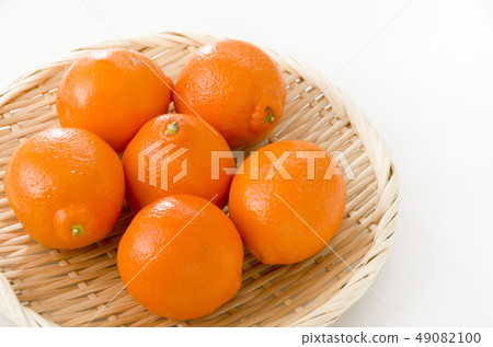 Mineola Orange 49082100