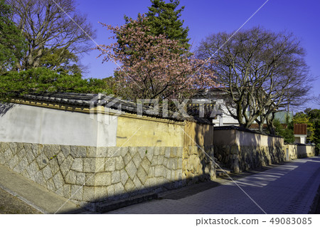 Yamaguchi Shimonoseki Mayor's Office Yokomakura Koji Miyanouchi Line Yamaguchi Shimonoseki Mayor's Office Yokomakura Koji Miyanouchi Line 49083085