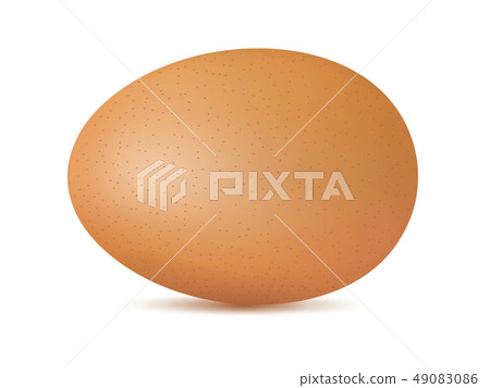 Vector single realistic animal egg. Chicken egg Vector single realistic animal egg. Chicken egg 49083086