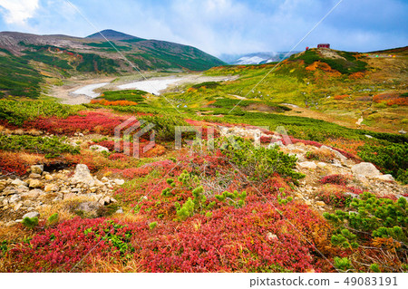 Fall of the red dyed chinulma 49083191