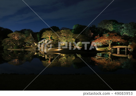 Rikugien秋葉亮起來 Rikugien秋葉亮起來 49083953