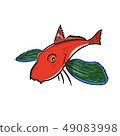 Gurnard 49083998