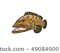 Quest 49084000