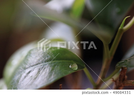 Aperture f 3.5 49084331