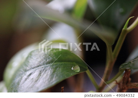 Aperture f 4.0 Aperture f 4.0 49084332