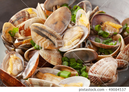 Clam steamer 49084537