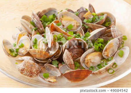Clam steamer Clam steamer 49084542