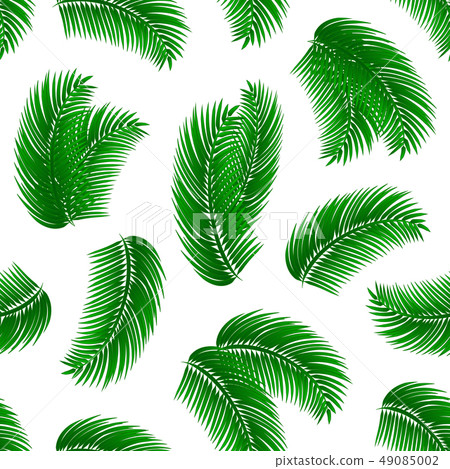 Palm leafs seamless pattern. Palm leafs seamless pattern. 49085002