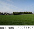 草甸和牧場 49085307