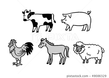 牲畜單色 49086329