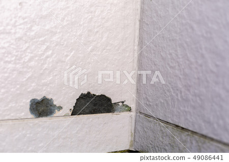 Veranda repair 49086441