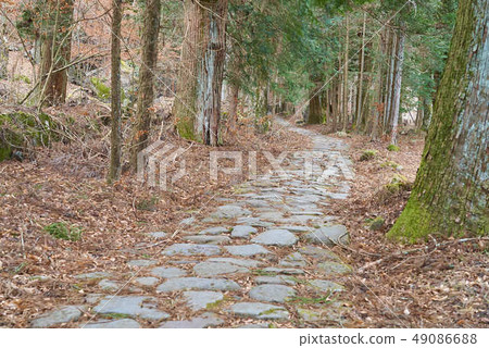 瀧野之路01 瀧野之路01 49086688