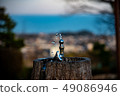 Faucet and the sea 49086946