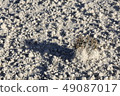 Soil erosion, white sand 49087017