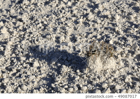 Soil erosion, white sand Soil erosion, white sand 49087017