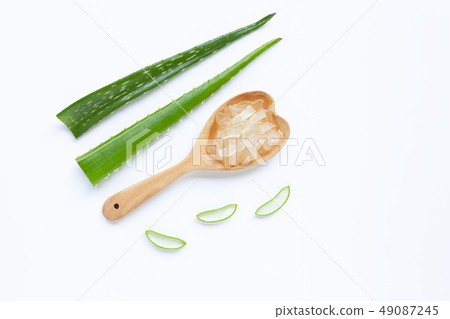 Aloe vera is a popular medicinal plant for health 49087245
