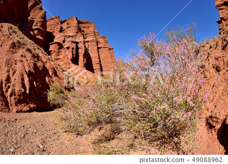Kyrgyz Grand Canyon - famous natural landmark 49088962