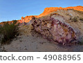 Beautiful colored rocks of Yeruham wadi,Israel 49088965