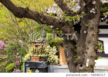 哈斯神廟 49090317