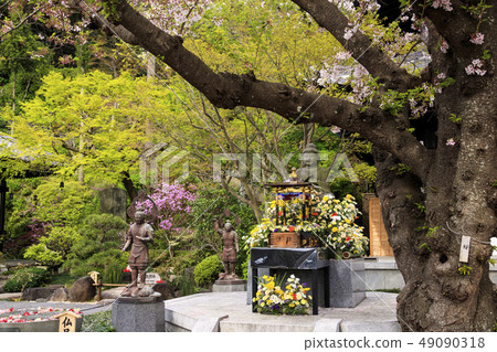 哈斯神廟 49090318