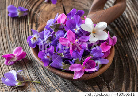 Wood violet flowers on a wooden spoon 49090511