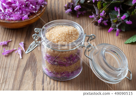 Preparation of syrup from fresh dead-nettles 49090515