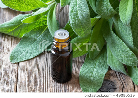 A bottle of sage essential oil with fresh sage 49090539