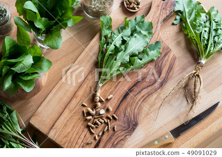 Cut-up dandelion root on a wooden cutting board Cut-up dandelion root on a wooden cutting board 49091029