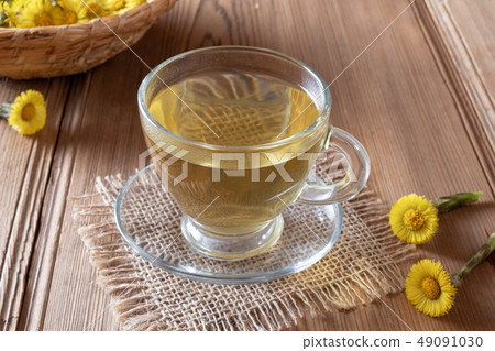 A cup of coltsfoot tea with fresh coltsfoot A cup of coltsfoot tea with fresh coltsfoot 49091030