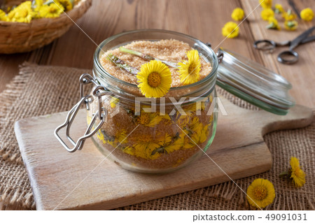Preparation of coltsfoot syrup from fresh flowers Preparation of coltsfoot syrup from fresh flowers 49091031