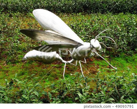 台中霧峰林家宅園 49093791