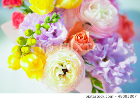 春天的花朵禮物 49093807