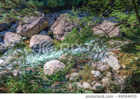 The special scenic Katsudan Gorokunose 49094650