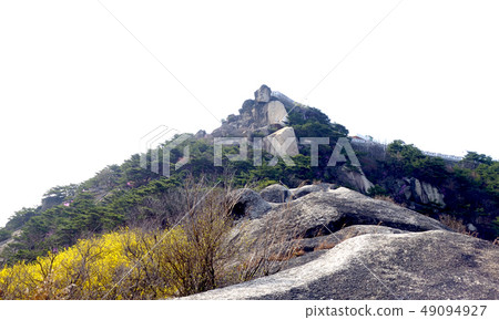 Inwangsan, summit, spring Inwangsan, summit, spring 49094927