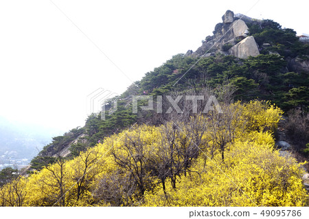 Inwangsan, Rocky Mountain 49095786