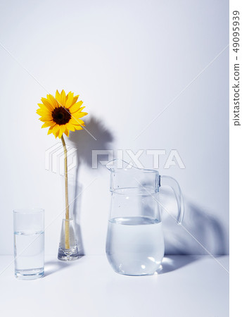 向日葵 49095939