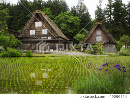 Shirakawago Shirakawago 49096534