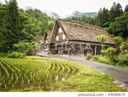 Shirakawago Shirakawago 49096674