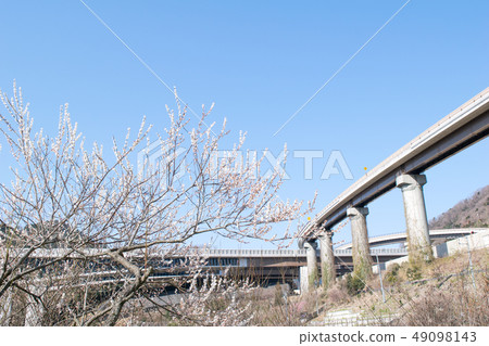 東京都八王子市高尾市新井梅林 49098143