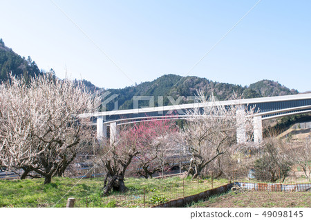 Arai Bairin, Takao Baikyo, Hachioji City, Tokyo 49098145