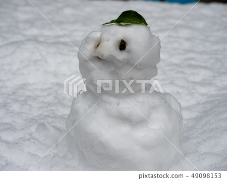 Snowman 49098153