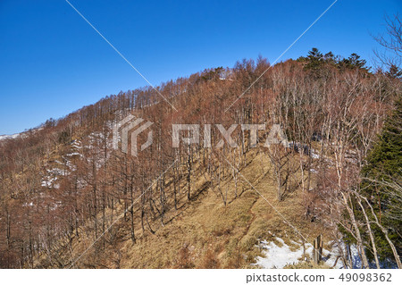從Oku-Nikko出發的一條山路，一個半月形的降雪區域，位於西北側的Ase-gata地區 49098362